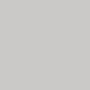 Color Swatch - Gray 5C1